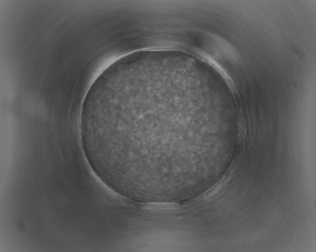 X0000116581487200912241644