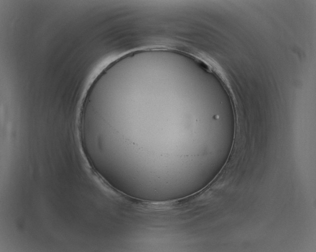 X0000116581488200912241644