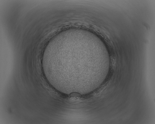 X0000116581489200912241644