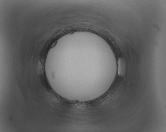 X0000116581491200912241644