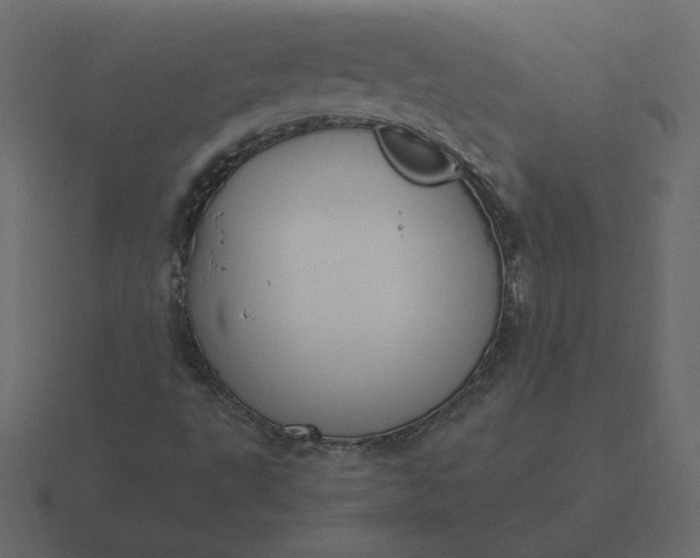 X0000116581495200912241644