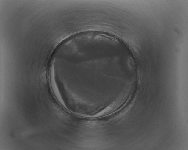 X0000116581497200912241644