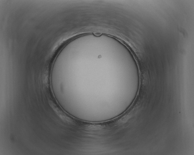 X0000116581499200912241644