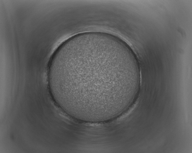 X0000116581501200912241644