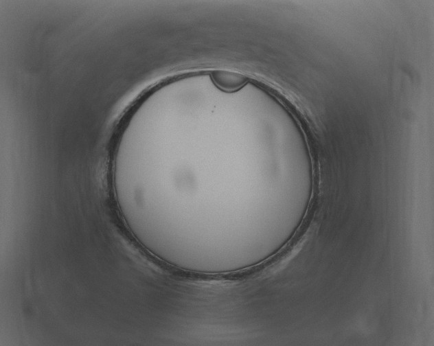 X0000116581502200912241644