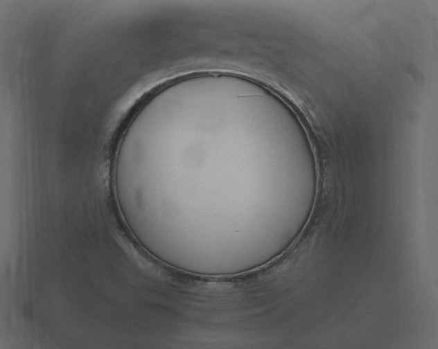 X0000116581503200912241644