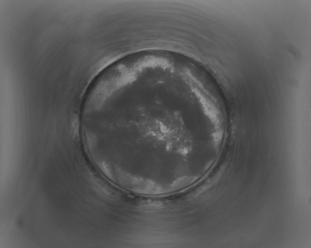 X0000116581505200912241644