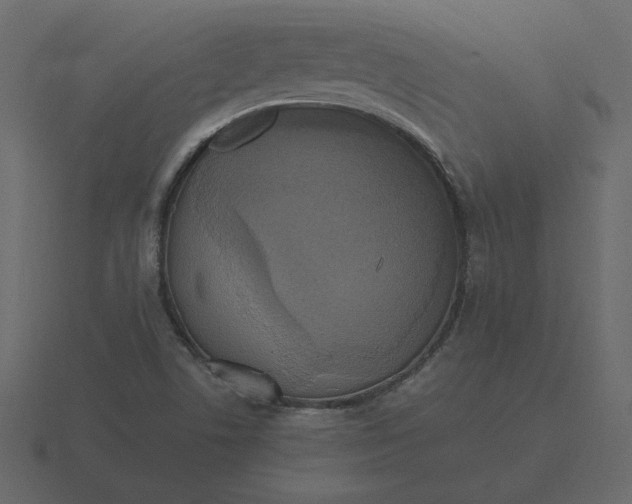 X0000116581506200912241644