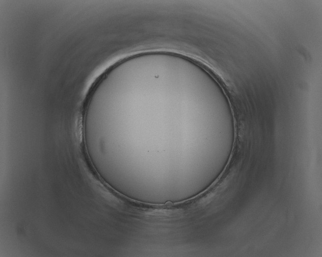 X0000116581510200912241644