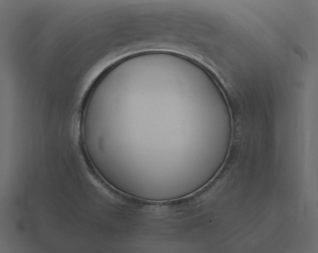 X0000116581511200912241644