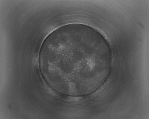 X0000116581513200912241644