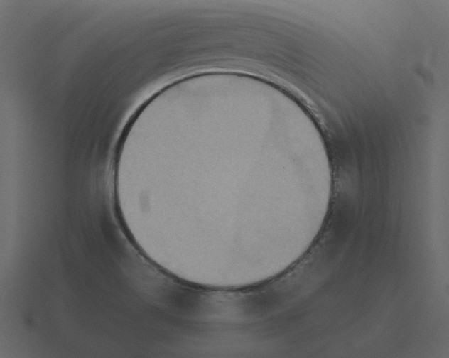 X0000116581514200912241644