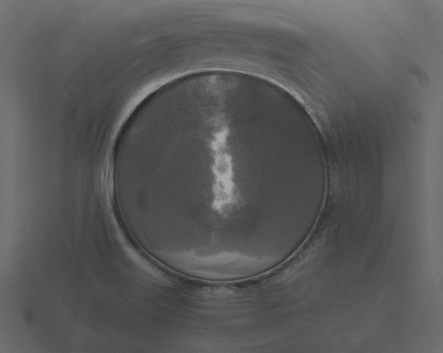 X0000116581515200912241644