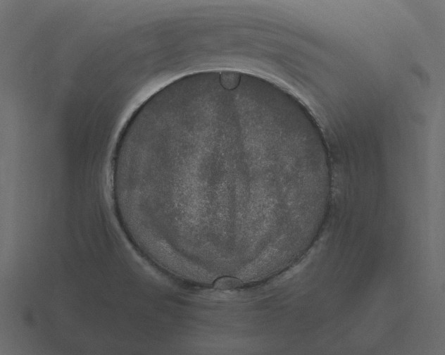 X0000116581517200912241644