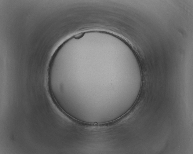 X0000116581518200912241644