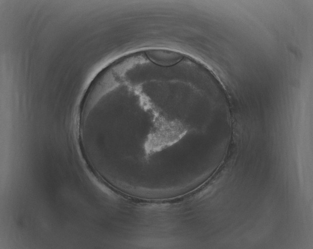 X0000116581519200912241644