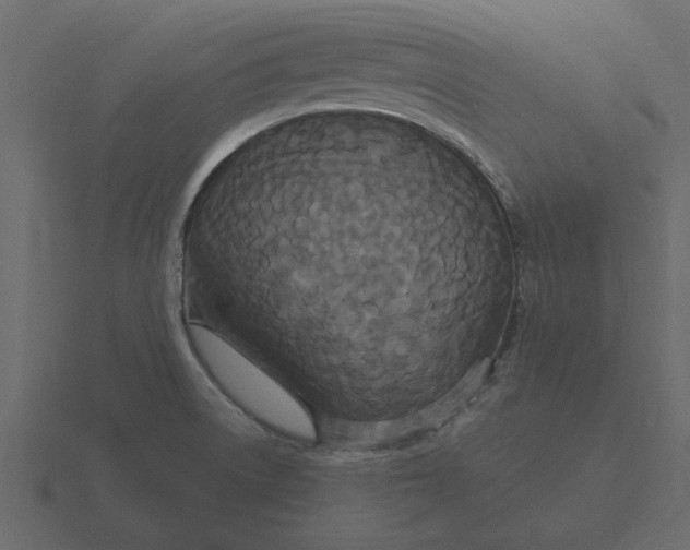 X0000116581522200912241644