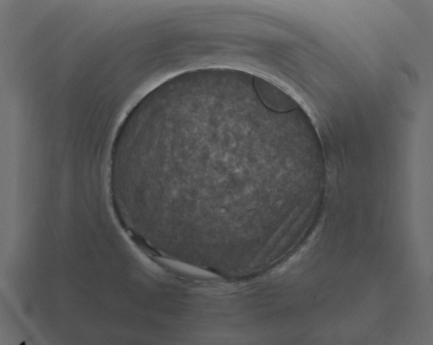 X0000116581525200912241644