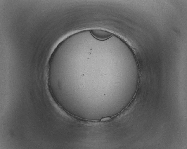 X0000116581526200912241644