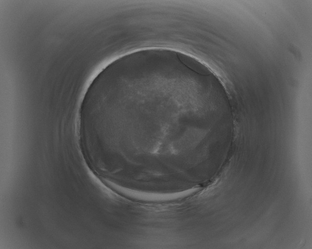 X0000116581527200912241644