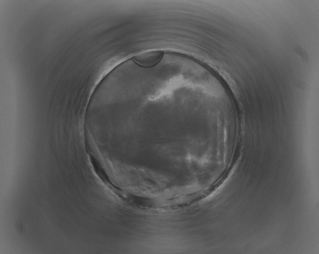 X0000116581529200912241644