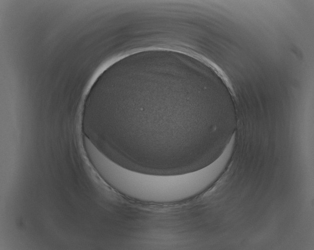 X0000116581530200912241644