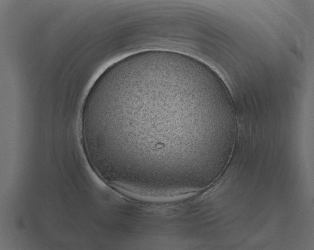 X0000116581531200912241644