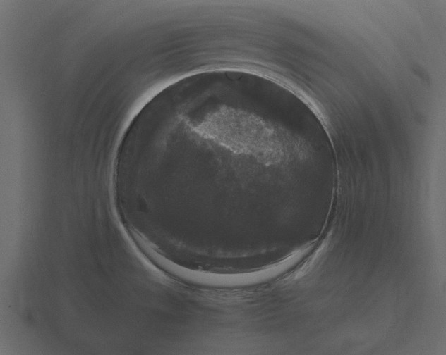 X0000116581533200912241644