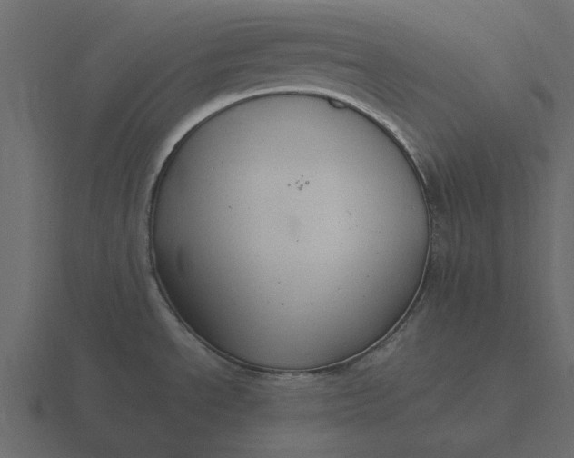 X0000116581534200912241644