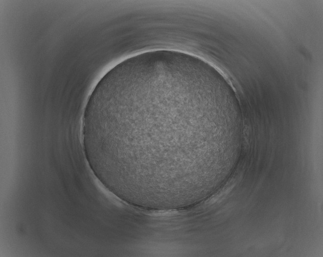 X0000116581535200912241644