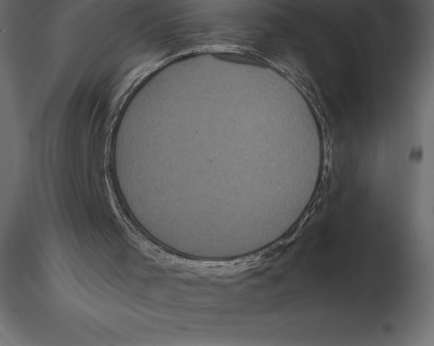 X0000116580001200912312024
