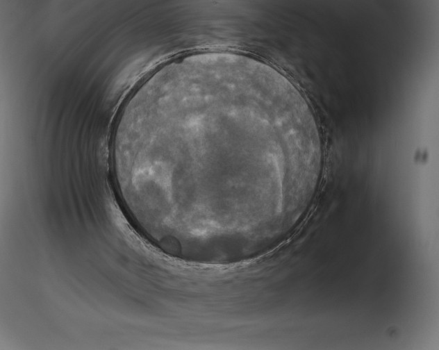 X0000116580002200912312024