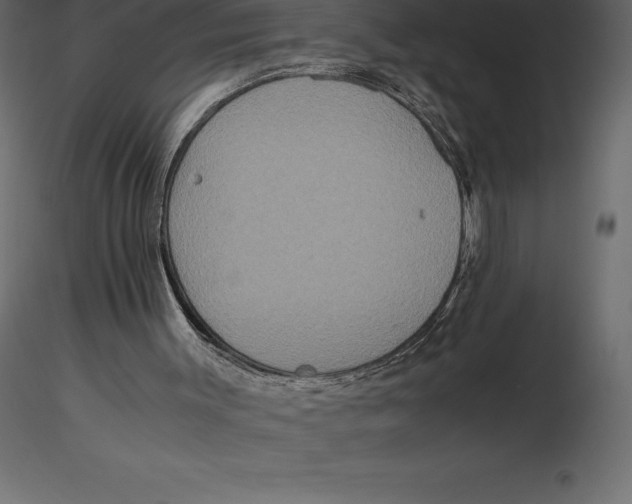 X0000116580003200912312024
