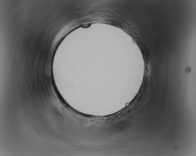 X0000116580004200912312024