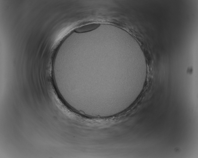 X0000116580005200912312024