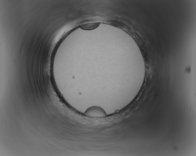 X0000116580006200912312024