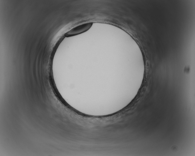 X0000116580007200912312024