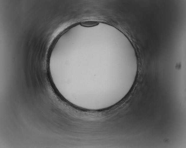 X0000116580008200912312024