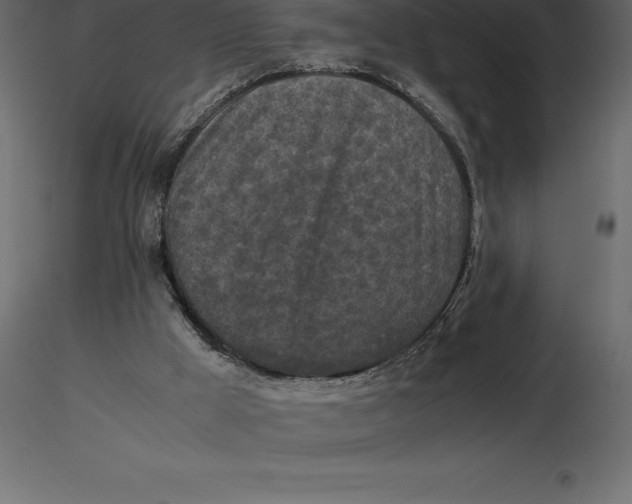 X0000116580009200912312024