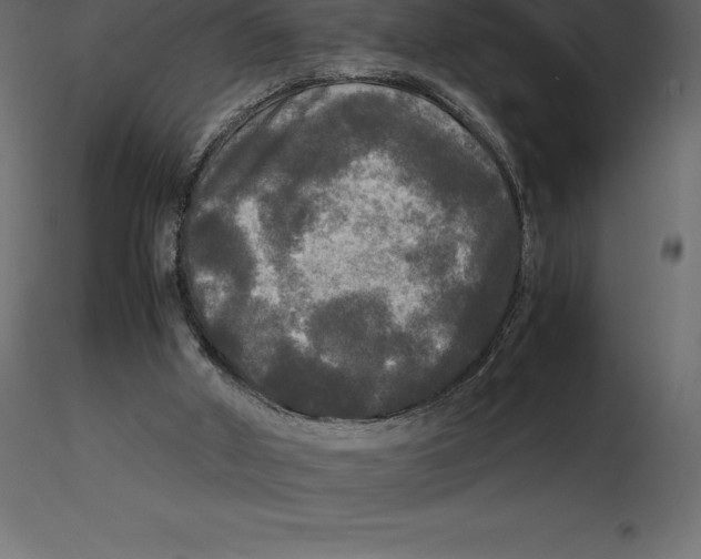 X0000116580010200912312024