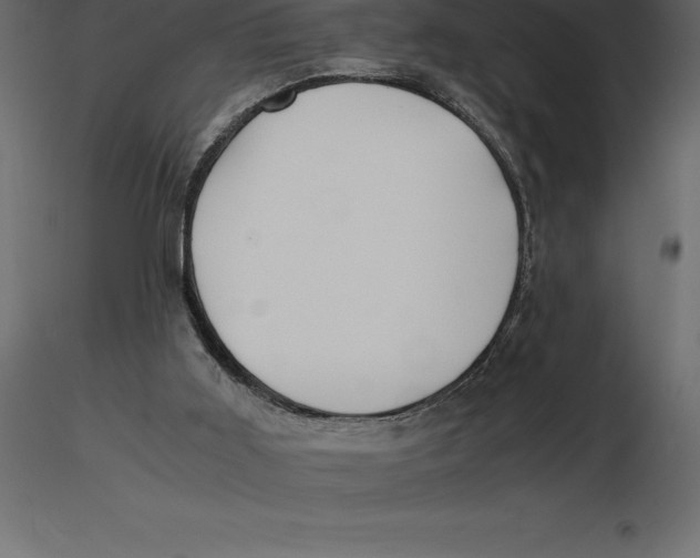 X0000116580011200912312024
