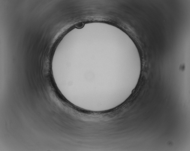 X0000116580012200912312024