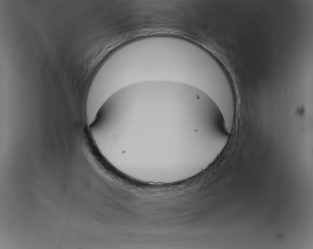 X0000116580013200912312024