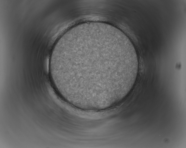 X0000116580014200912312024