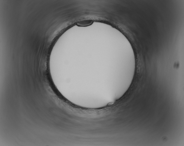 X0000116580015200912312024