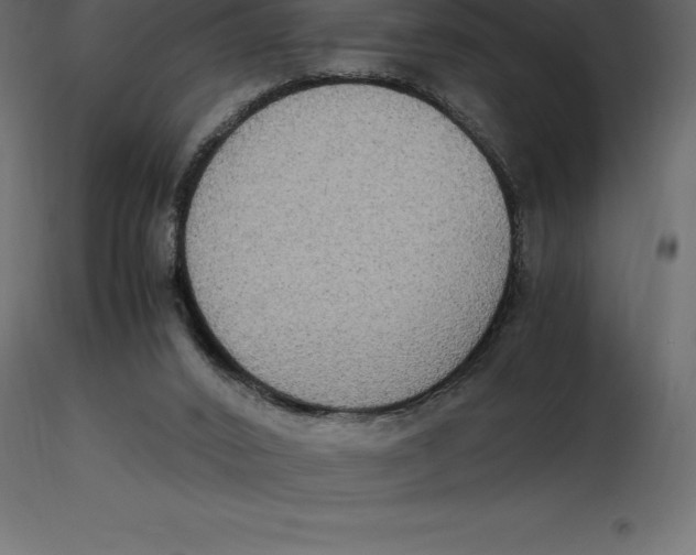 X0000116580016200912312024