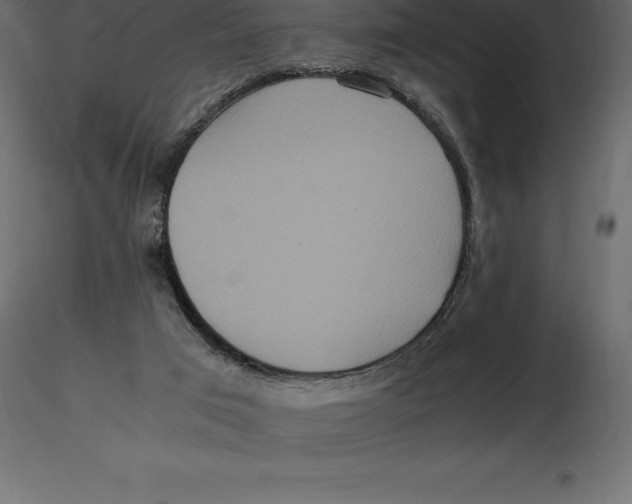X0000116580017200912312024