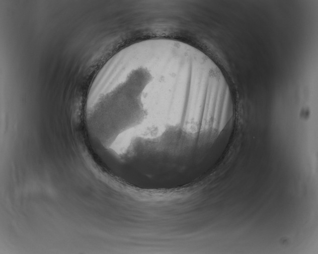 X0000116580018200912312024