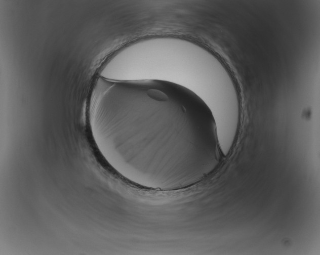 X0000116580019200912312024