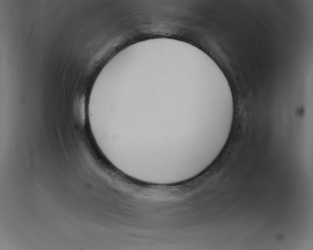 X0000116580020200912312024